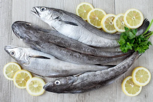 Raw Cod Fish — Stock Photo, Image
