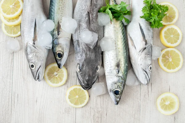 Mixed Raw Fish — Stock Photo, Image