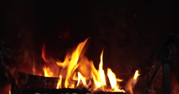 불타는 운동으로 벽난로 — 비디오