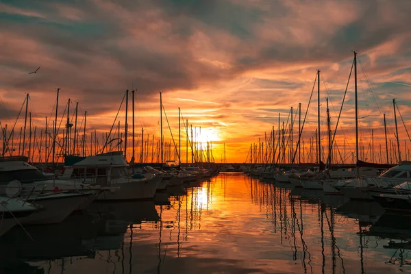 Seilbåthavn Ved Solnedgang Civitavecchia Lazio Italia – stockfoto