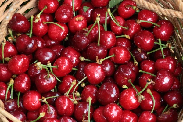 Closeup Cherries Basket Top View Shot Stock Photo