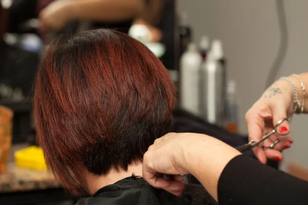 Hair Cut — Stock Photo, Image