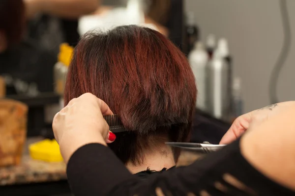 Hairdresser Cuts Hair — Stock Photo, Image