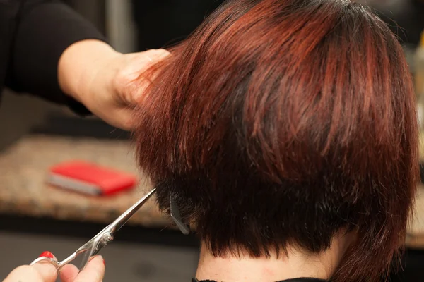 Cabello de peinado - Corte —  Fotos de Stock