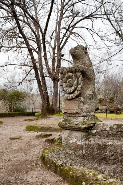 Urso segurando o emblema de rosa romana da família Orsini — Fotografia de Stock