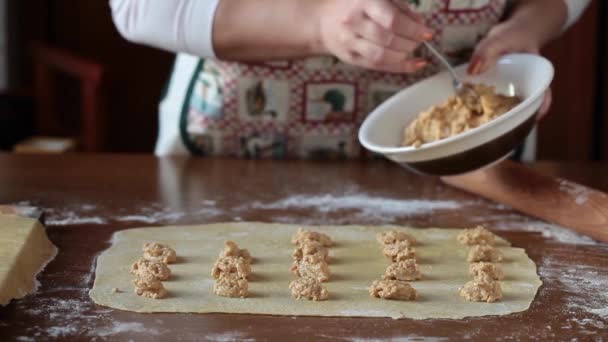 Preparación de la pasta Agnolotti — Vídeos de Stock