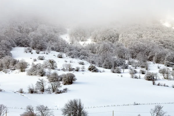 Paisaje invierno blanco — Foto de Stock