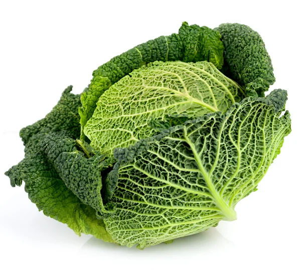 Savoy Cabbage On White — Stock Photo, Image