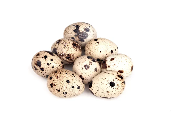 Huevos de codorniz aislados — Foto de Stock