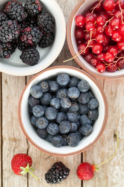 Frutos de bagas — Fotografia de Stock