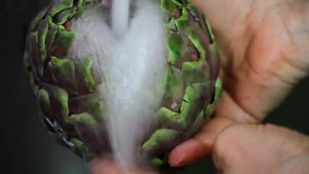 Lavado de alcachofa — Vídeo de stock