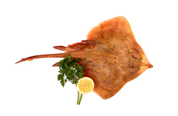 Raggio di pesce — Foto Stock