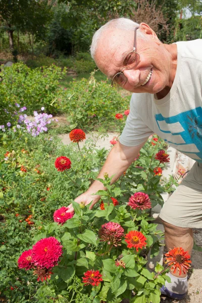 Senior Man Gardening — Stock Photo, Image