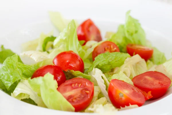 Primo piano dell'insalata — Foto Stock