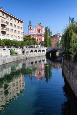 Ljubljanica Nehri'nin
