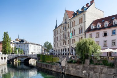 Ljubljanica Nehri'nin