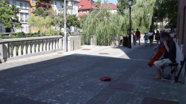 Wykonawca muzyki na ulicach Ljubljana — Wideo stockowe