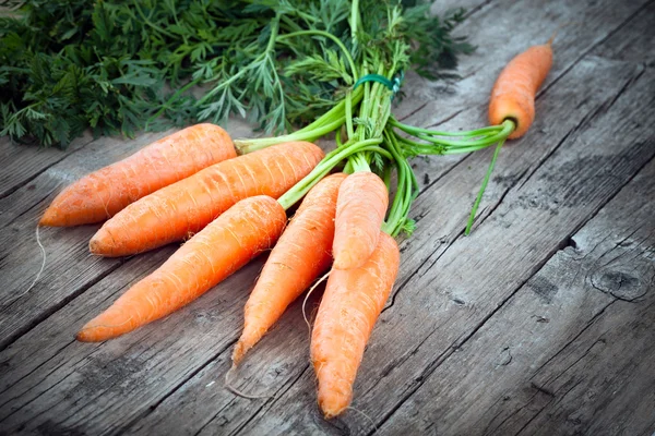 Ferme de carottes fraîches — Photo