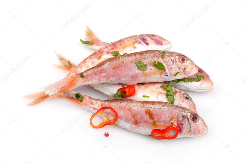 Raw Red Mullet Fish