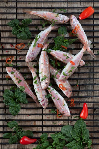 Salmonete rojo preparado para la parrilla —  Fotos de Stock