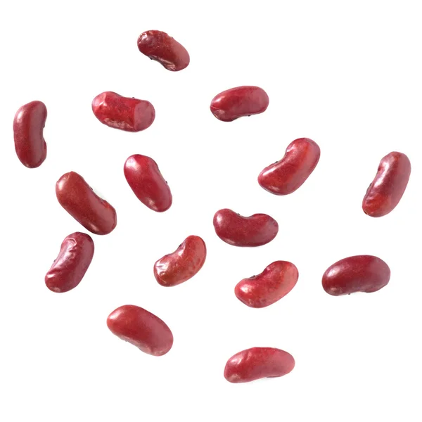 Haricots rouges isolés — Photo