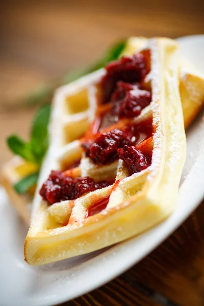 Viennese waffles with powdered sugar — Stock Photo, Image