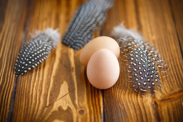 Huevos de pintada —  Fotos de Stock