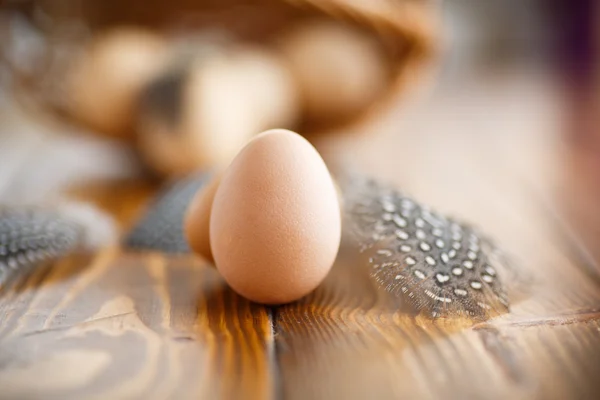 Αυγά της φραγκόκοτα — Φωτογραφία Αρχείου