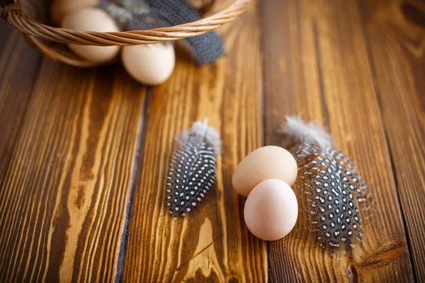 뿔 닭의 계란 — 스톡 사진