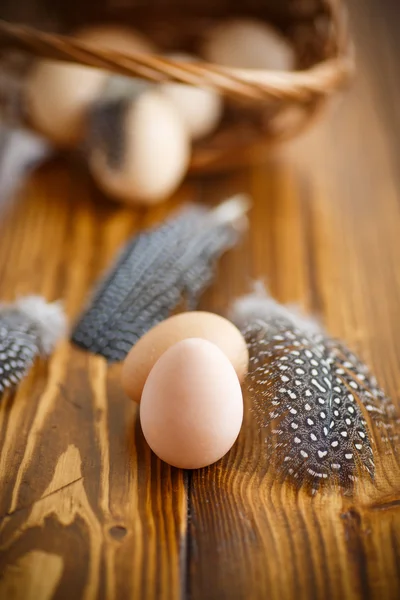 Eier eines Perlhühnchens — Stockfoto