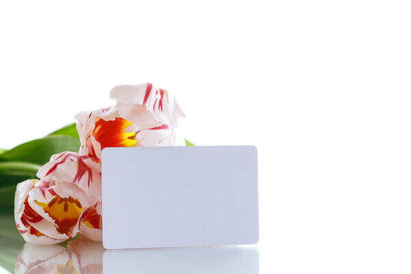 Аромат тюльпанов