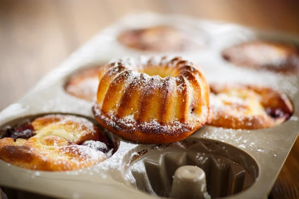 Cheese cakes with fruit filling — Stock Photo, Image