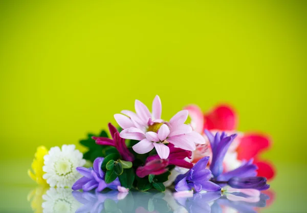 Mooi boeket voorjaarsbloemen — Stockfoto