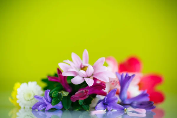 꽃다발 모양의 아름다운 봄 꽃들 — 스톡 사진