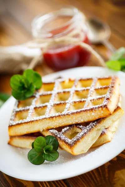 Baked cheese waffles with powdered sugar — Stock Photo, Image