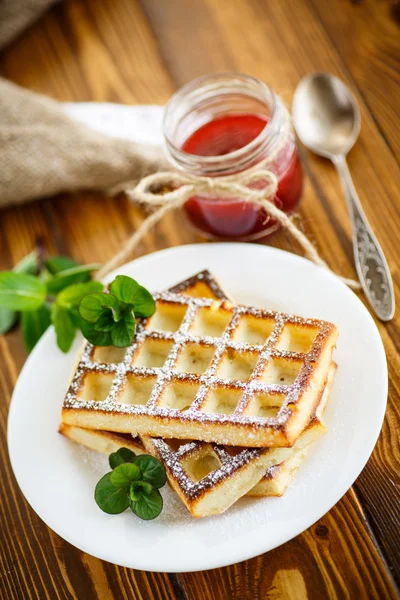 Baked cheese waffles with powdered sugar — Stock Photo, Image