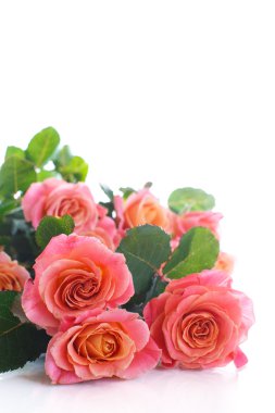 Bir buket pembe gül.