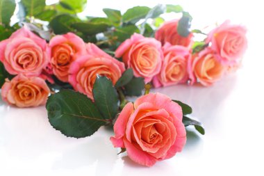 Bir buket pembe gül.