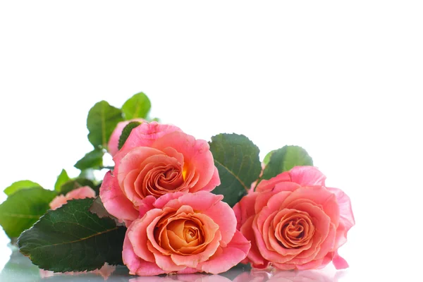 Bouquet of pink roses — Stock Photo, Image