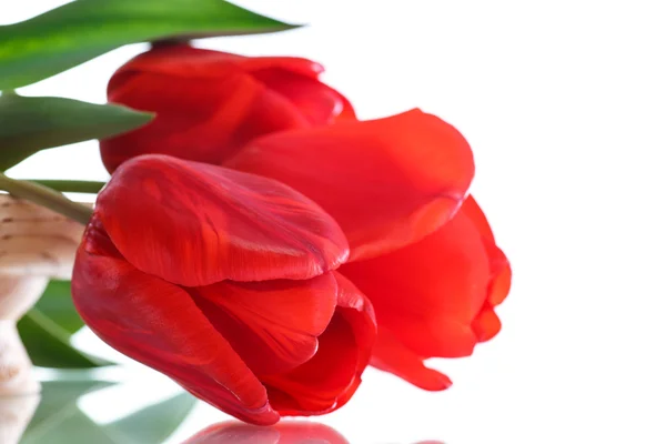 Schöner Strauß roter Tulpen — Stockfoto