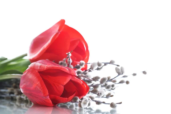 Mooi boeket van rode tulpen — Stockfoto