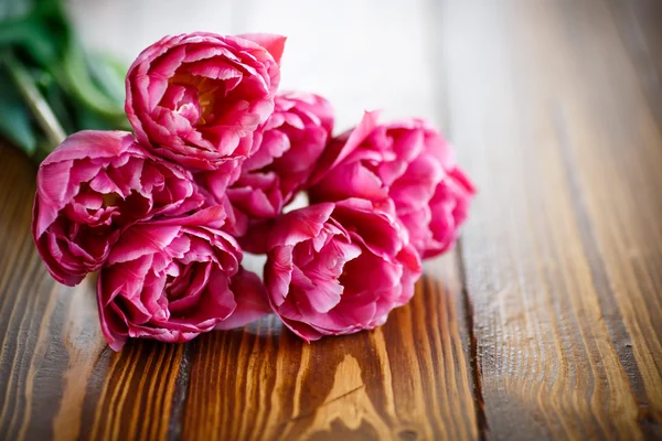 Haufen schöner Tulpen — Stockfoto