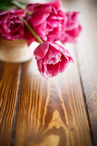 Bunch of beautiful tulips — Stock Photo, Image