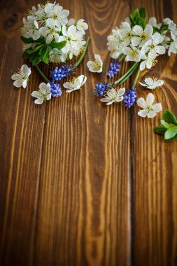 bahar çiçekleri, meyve ağaçları