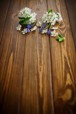 bahar çiçekleri, meyve ağaçları