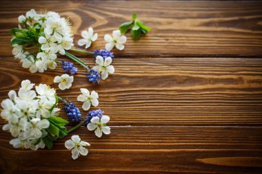 bahar çiçekleri, meyve ağaçları