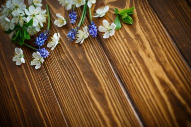 bahar çiçekleri, meyve ağaçları