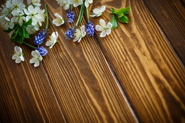 bahar çiçekleri, meyve ağaçları