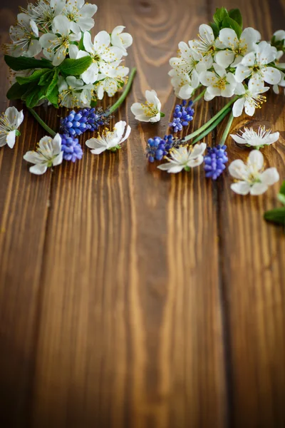 bahar çiçekleri, meyve ağaçları