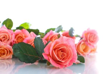 Bir buket pembe gül.